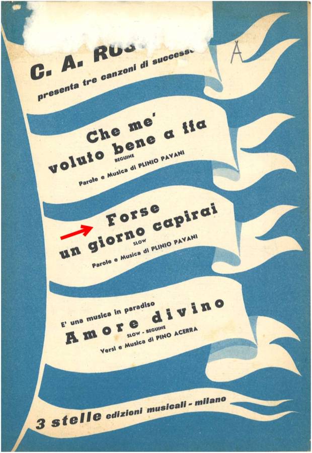 forse un giorno capirai_plivio pavani_3 stelle