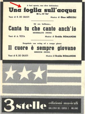 una foglia sull'acqua_gino mescoli_3 stelle